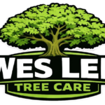 Wes Lee Tree Care